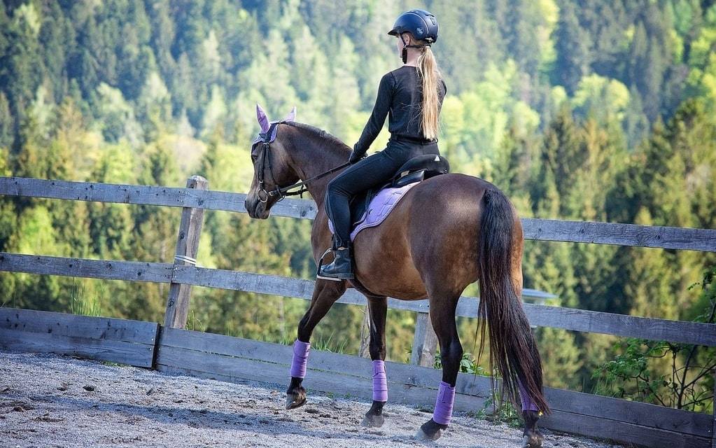 Comment choisir ses bottes d'équitation ?